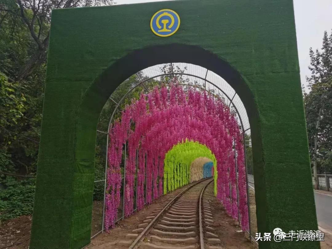 【关注】美丽高庙奏响新时代乡村振兴最强音