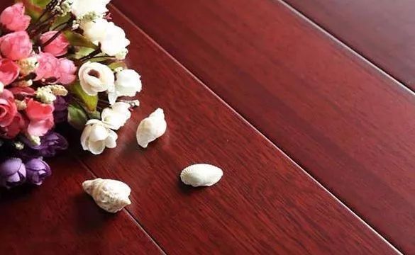 木材|印尼菠萝格和非洲菠萝格有什么区别？