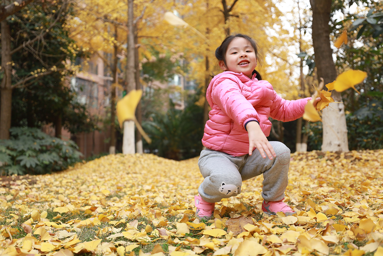 佳能无反相机全画幅,佳能rf14-35与15-35横向对比测评