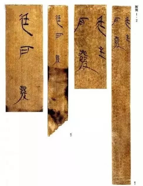 里耶秦简完整视频,里耶秦简