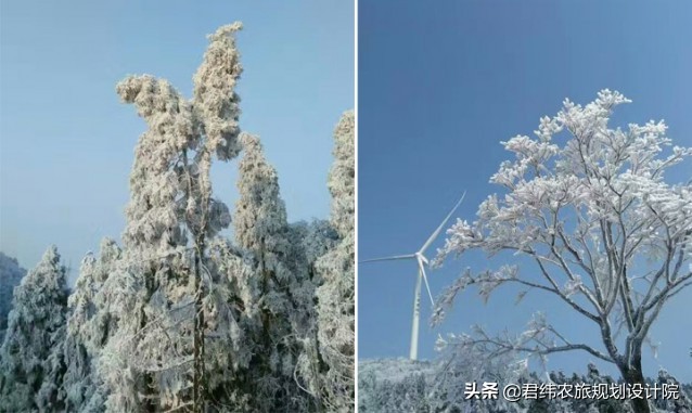江西仙姑坛景区,2024年铜鼓仙姑坛杜鹃花开了吗