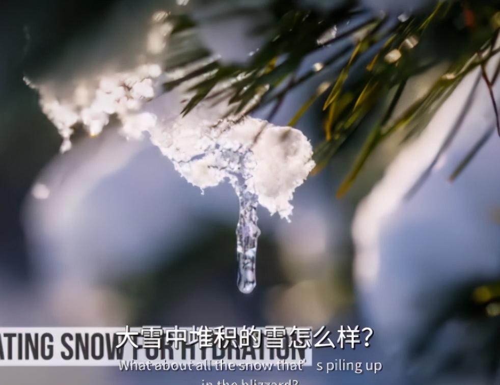 生存谣言,8个求生者监管者会怎样