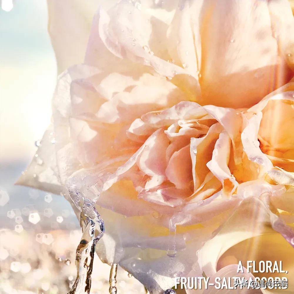 秋季换香？从姐姐们用的香水里找灵感吧