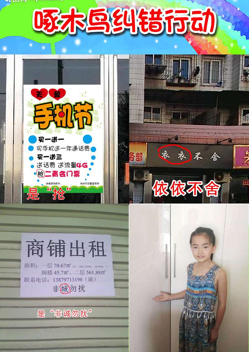 小学啄木鸟行动校外纠正错别字,啄木鸟找错别字实践活动