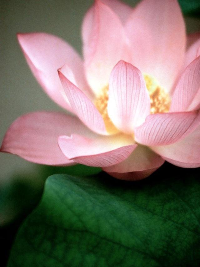 心灵鸡汤经典语录感悟人生正能量,2018感悟人生的说说心灵鸡汤语录