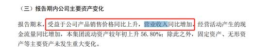 海螺水泥财报每股收益,海螺水泥最新年报点评