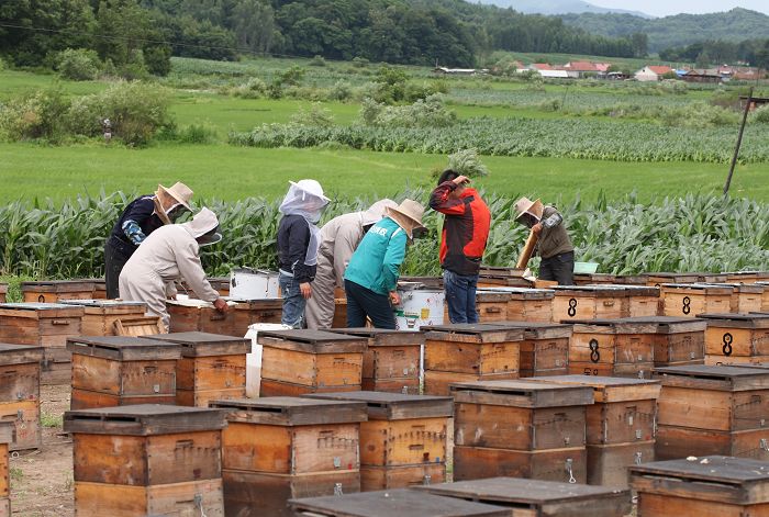 夸赞蜂王浆,你对蜂王浆有什么认识