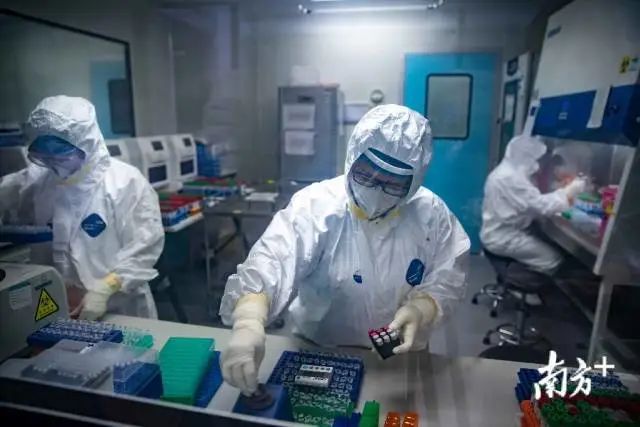 奋进粤港澳大湾区,奋进新征程筑梦大湾区