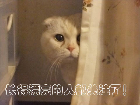 精致配饰让你变身时髦精,时尚配饰诠释优雅高级艺术