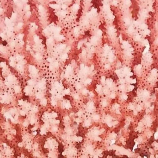 矮个子女生穿什么运动鞋好看,女生百搭运动鞋高级感