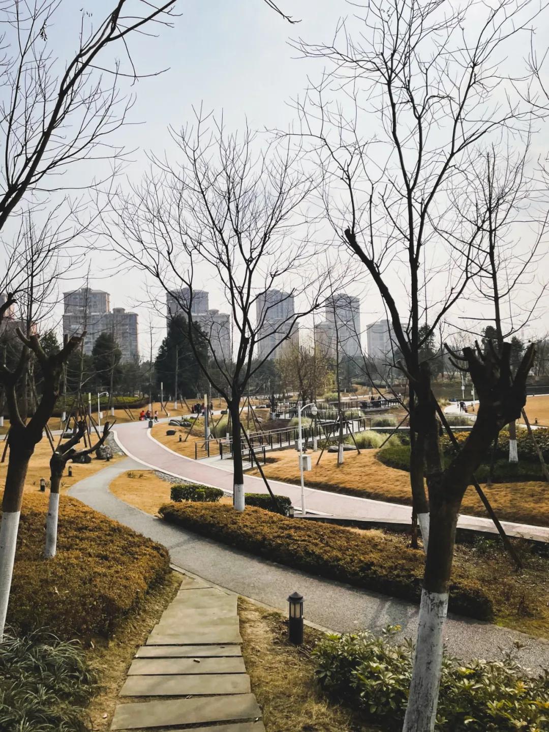 最好的足球场地是哪里,最好的足球场地在哪里