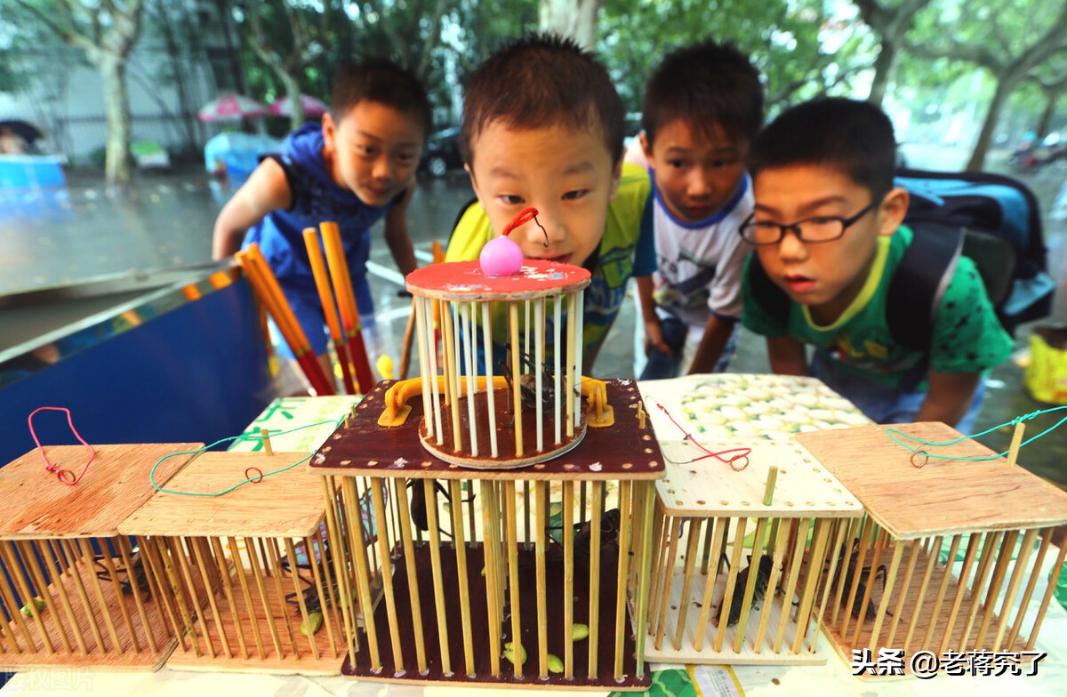 秋天到蝈蝈叫,秋天到蟋蟀叫