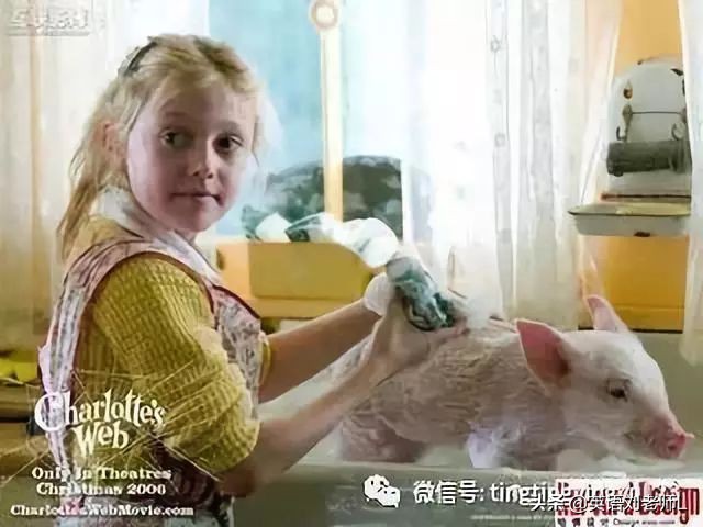 30部必看的电视剧英语,练口语的英文电影