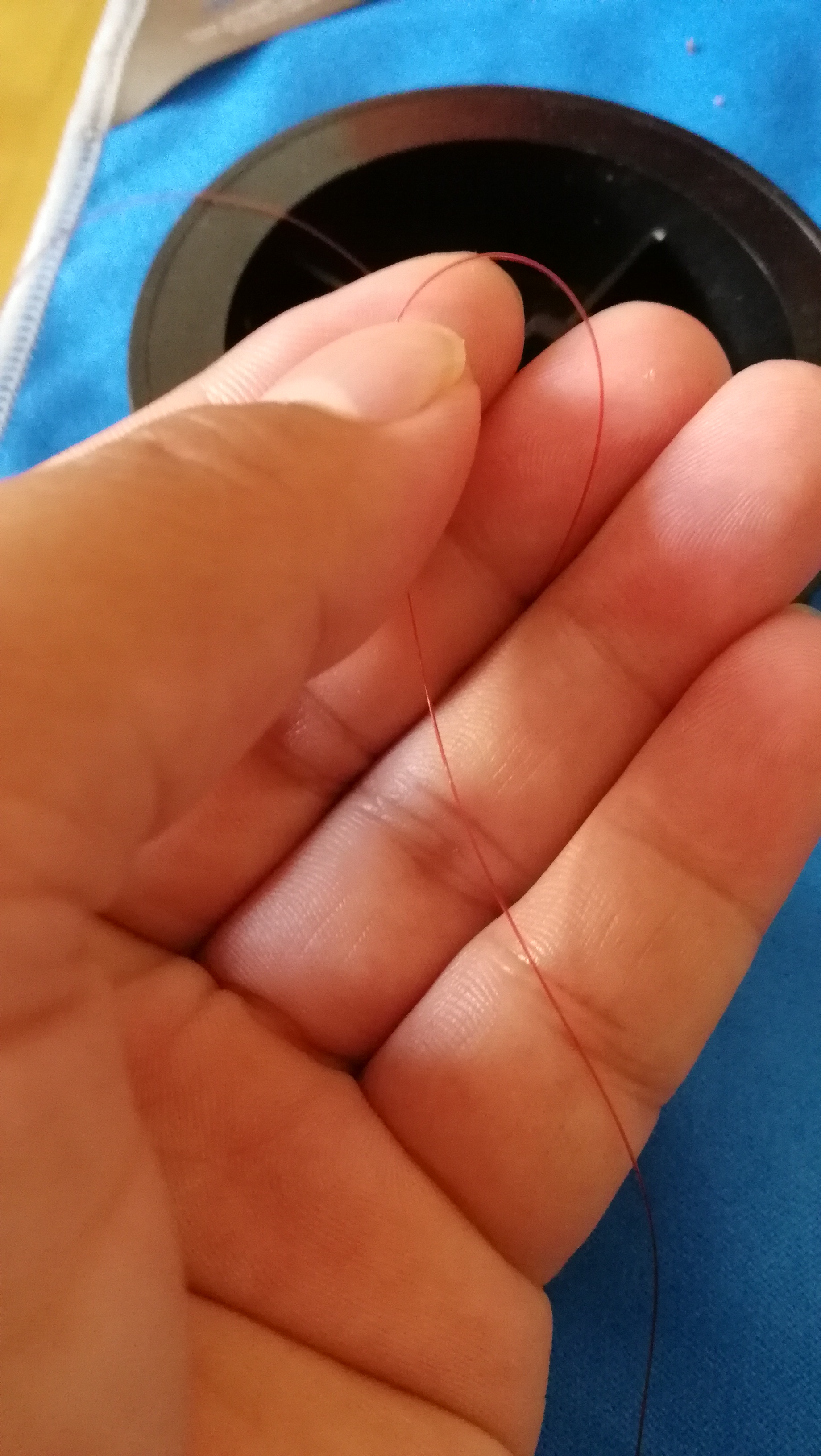 钓鱼本领有哪些,各种钓技无不精通