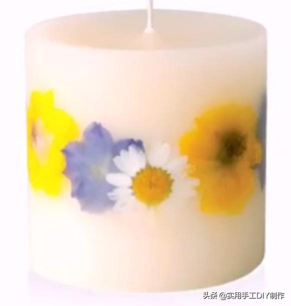 花卉造型美图,元宝蜡烛花图片