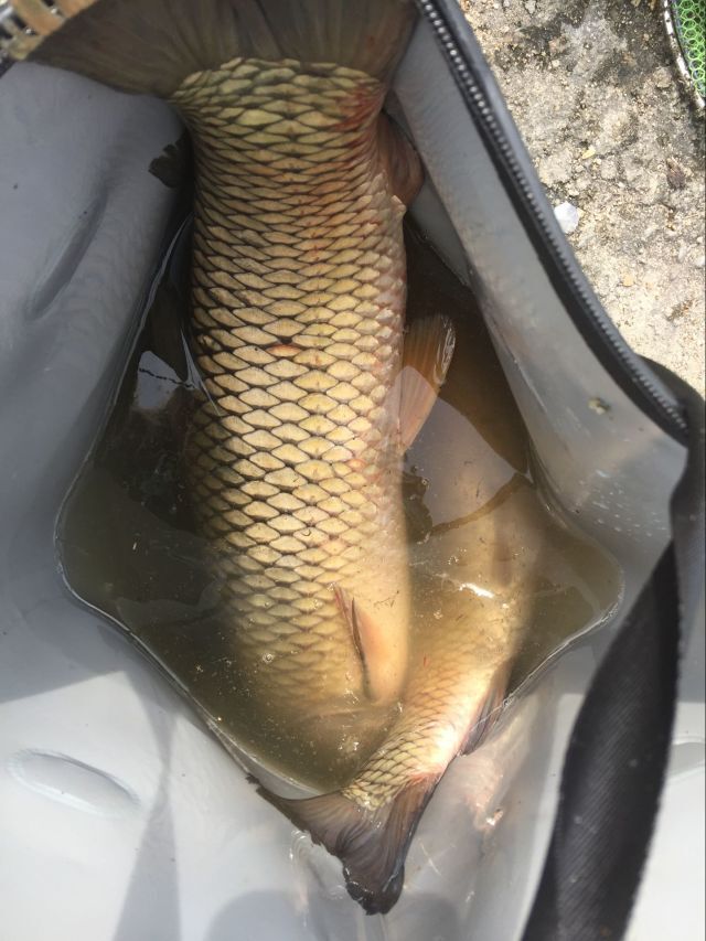 鱼线实用的五种,鱼线的选择技巧及注意事项