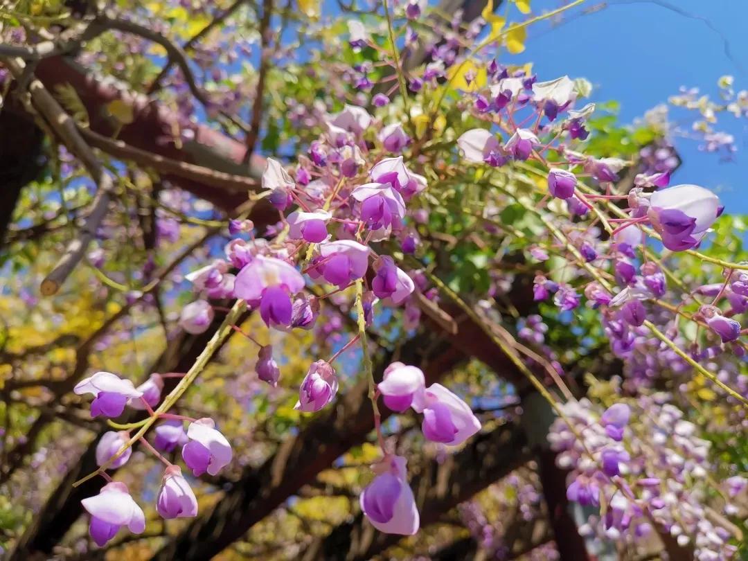 南开大学滨海学院天津排名,天津曾经的滨海学院