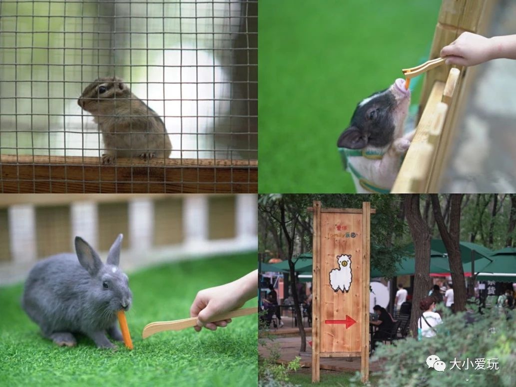 北京遛娃网红打卡地,北京又添一波遛娃新去处