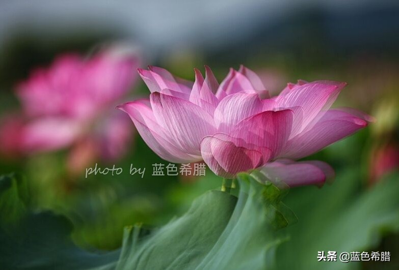 佳能5d3能拍多少数量照片,佳能5d3有多重曝光拍摄技巧