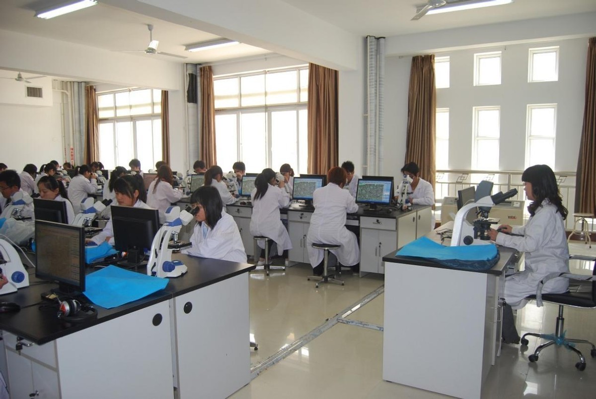 工资高就业前景好的专业专科,工资高就业前景好的专科专业