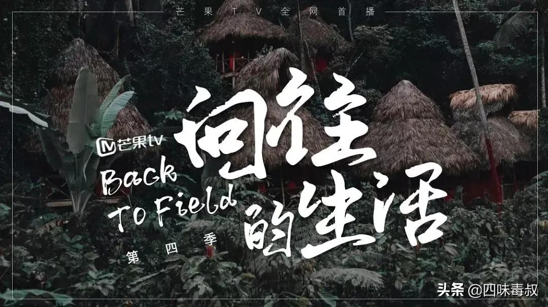 向前看向钱看全文,向前看向钱看完整视频