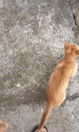 发现男朋友微信小号,发现了男友微信小号