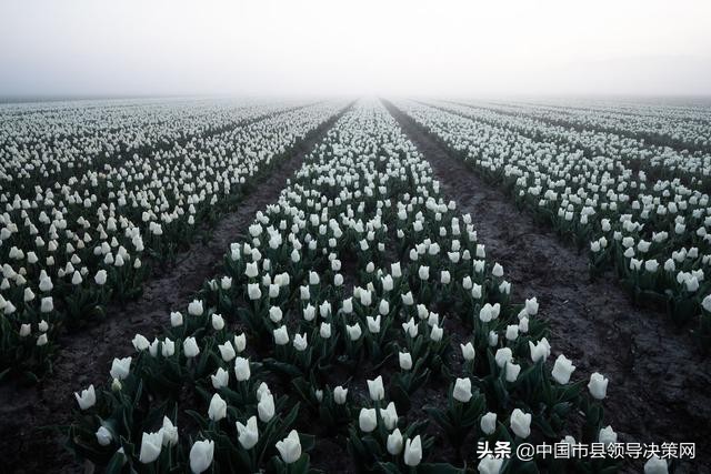 燕赵多豪杰的诗句,燕赵多义士诗词