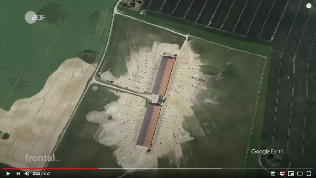 市场上的有机鸡蛋是真还是假,德国记者采访视频