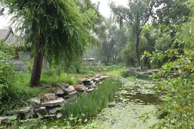 黑鱼常识,关于黑鱼的科普知识介绍