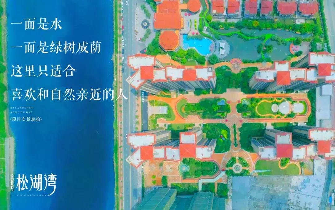 房有道正能量,房有道团购