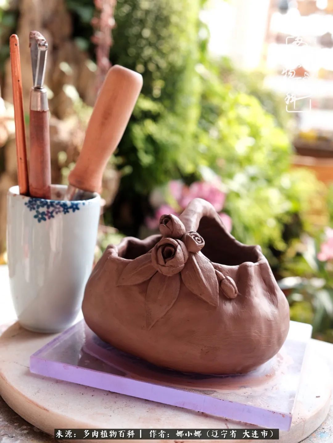 你是盆我是花，你护我周全，我为你绽放