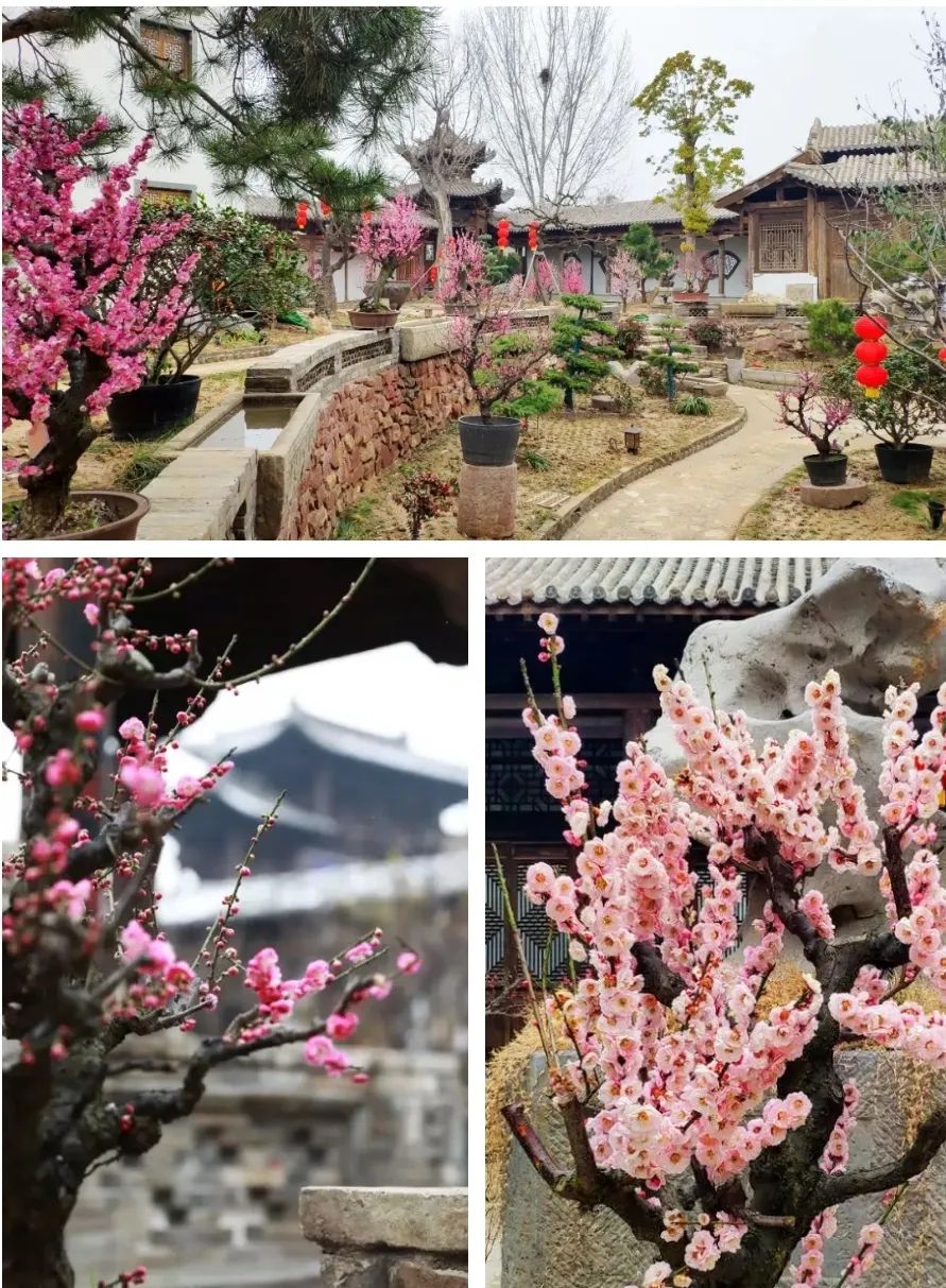 郑州建业足球小镇最近状况,建业足球小镇怎么样了