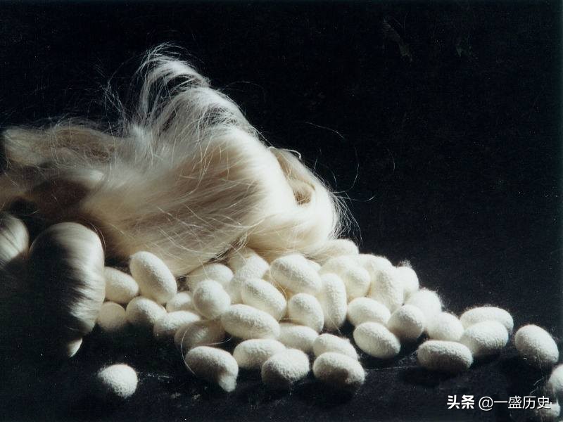 中国丝绸有几个种类,全世界最好的丝绸叫什么