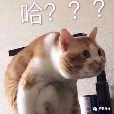 男子用两个平台抢春运火车票，花两份钱竟买了同一个座！