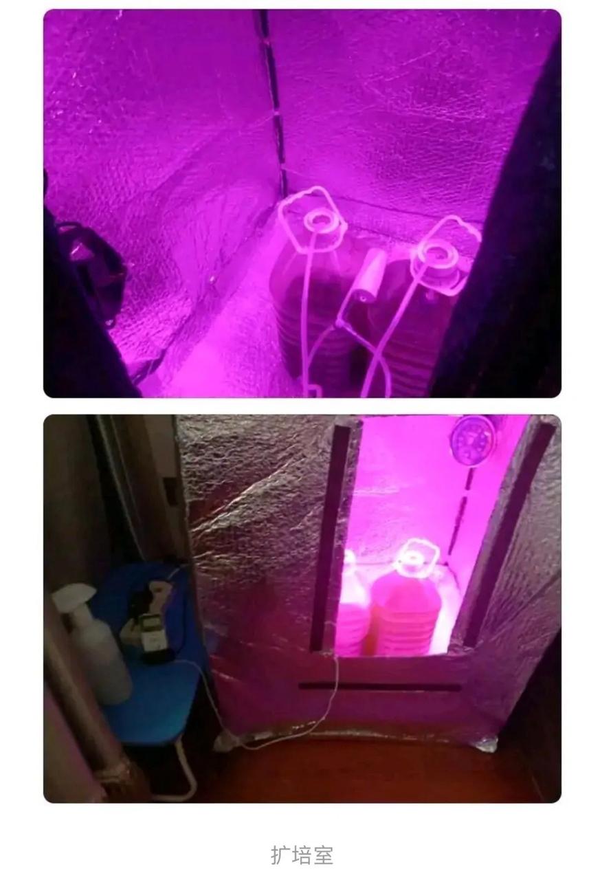 接地气但不能接地府之类的梗,可以接地气但不能接地府梗抖音