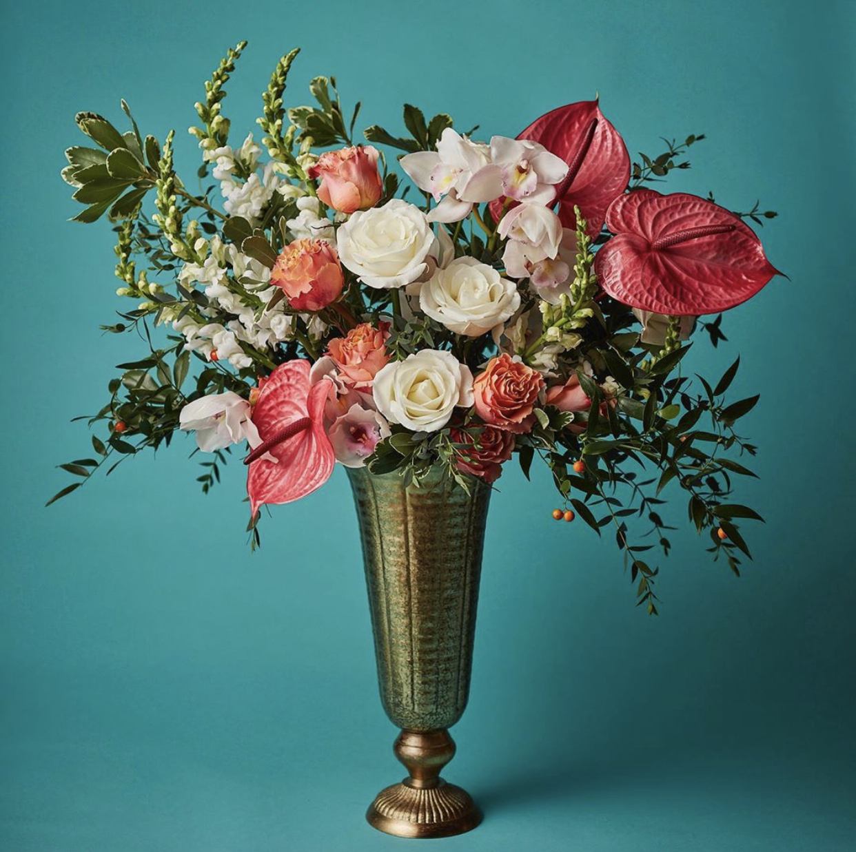 买花时，你“脸盲”了吗？一篇文章分清红掌、火鹤、花烛和安祖