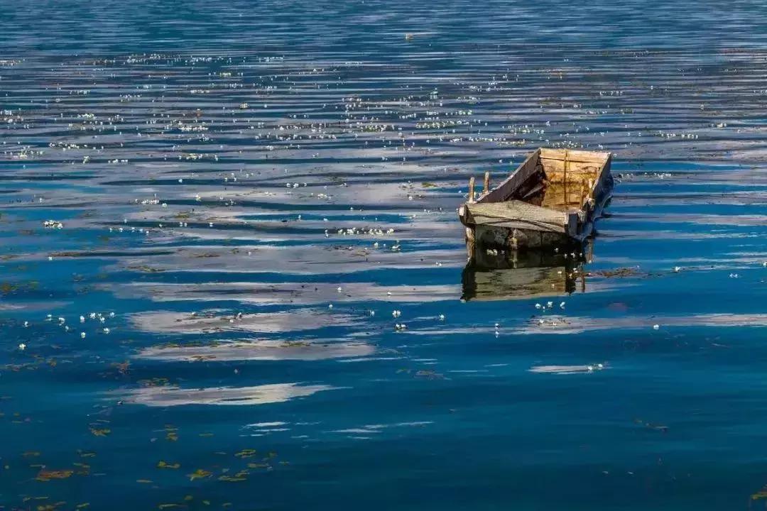 凉山州哪里可以赏花,西昌赏花攻略