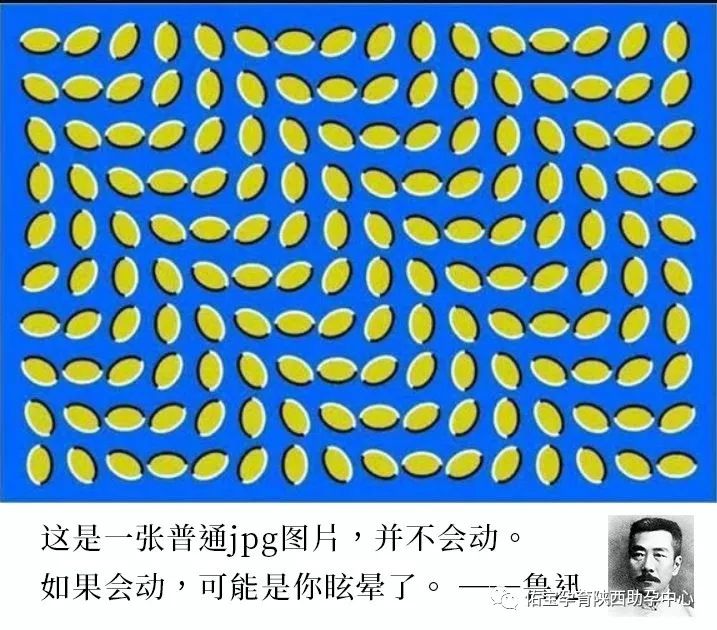 「漫画」听说，怀孕是种很晕的感觉？