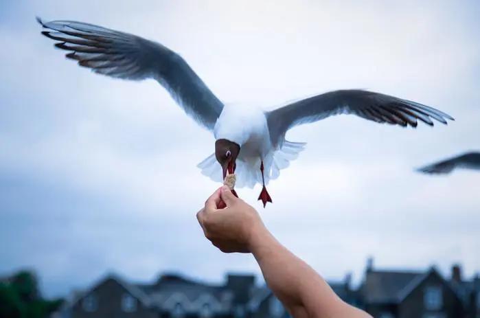 在青岛玩怎么能尽兴,青岛冬季旅游攻略最新消息