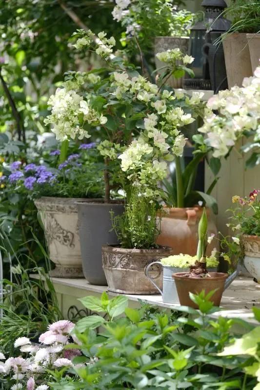 三年前买了套绿地110平三房130万,三年前耗资百万打造小院出售