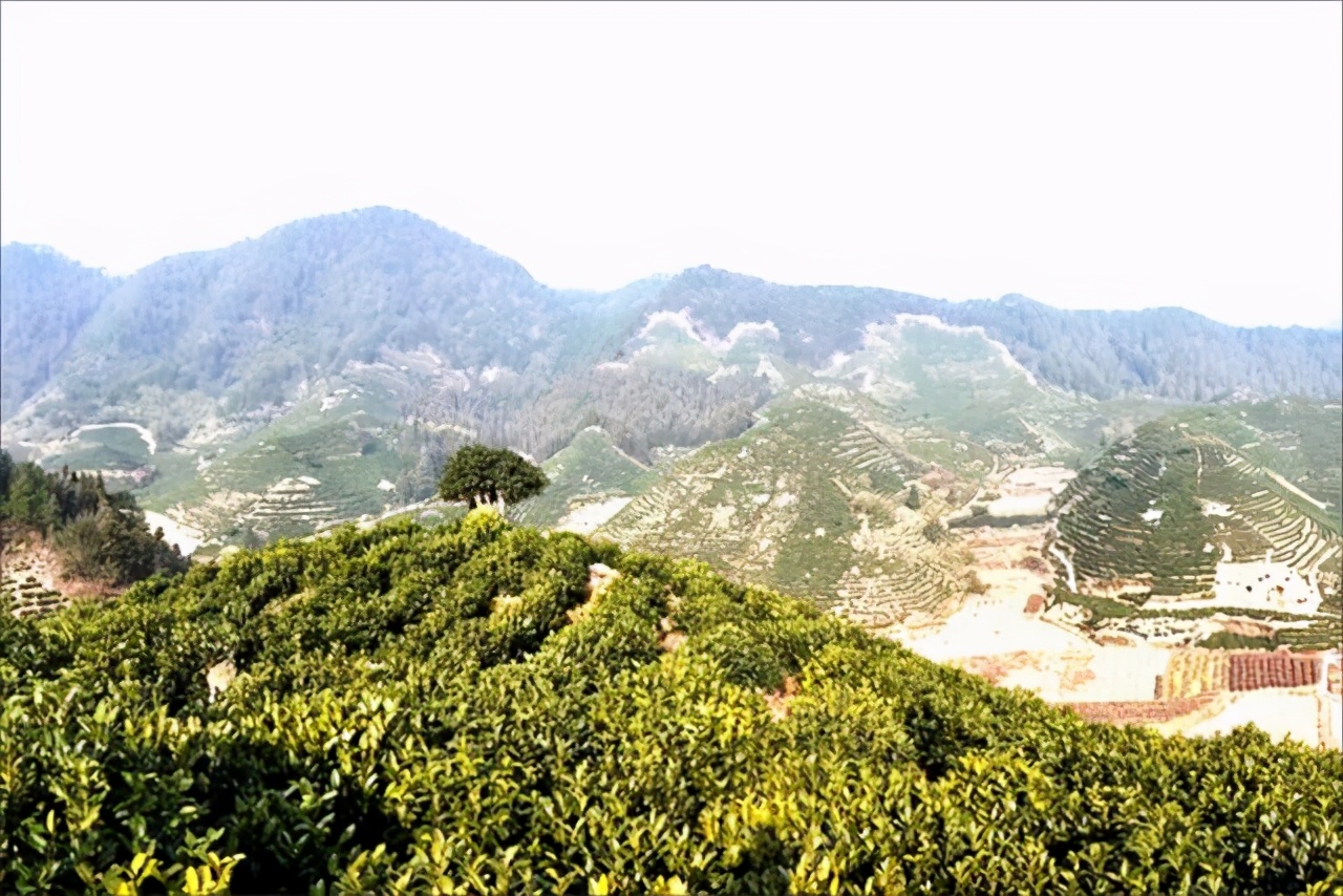 徽州避暑亲子游,歙县徽州风景