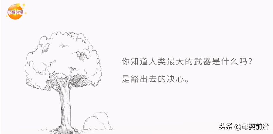 贝贝网诈骗新闻,贝贝网红诈骗新闻