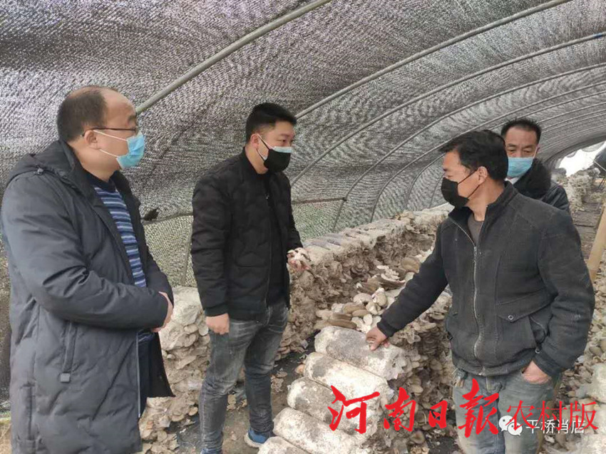 信阳平桥区疫情防控最新,信阳肖店疫情防控