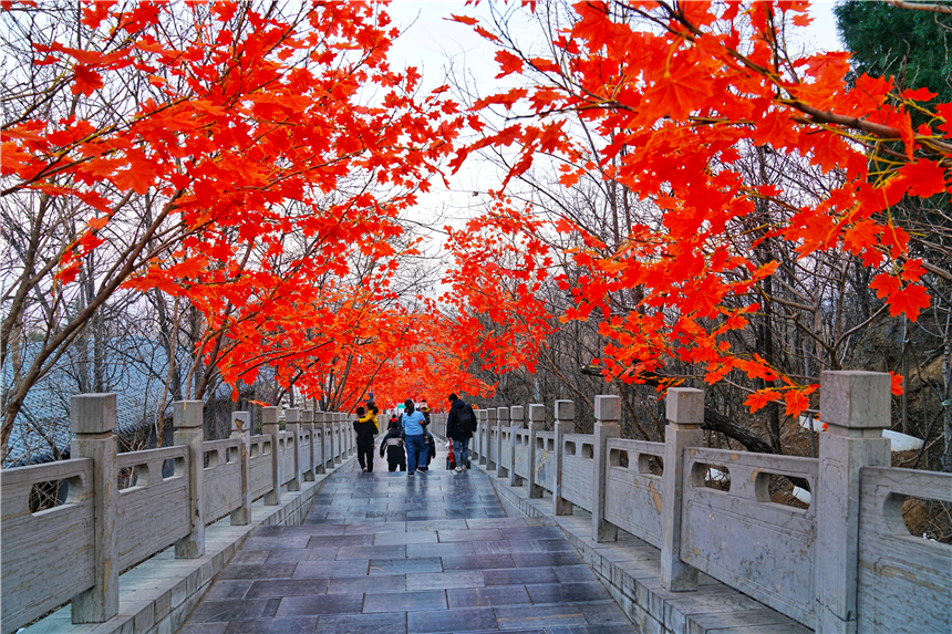 石家庄是一个神奇的地方,河北的神奇山峰