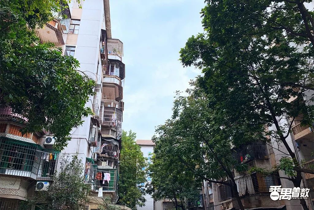 在番禺居住怎么样,在广州番禺哪里住得舒服