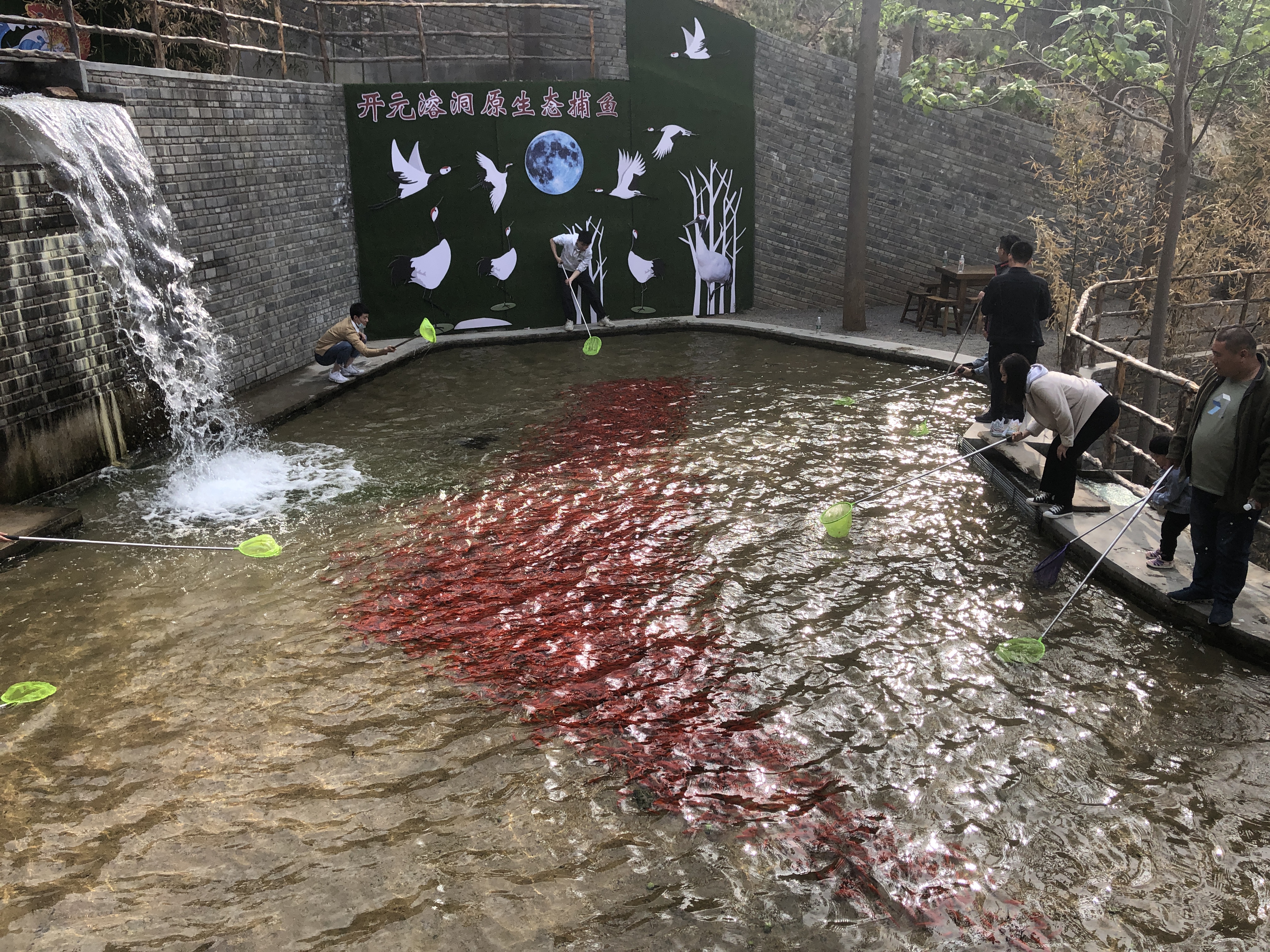 博山开元溶洞一日游,博山开元溶洞门票多少钱一个人