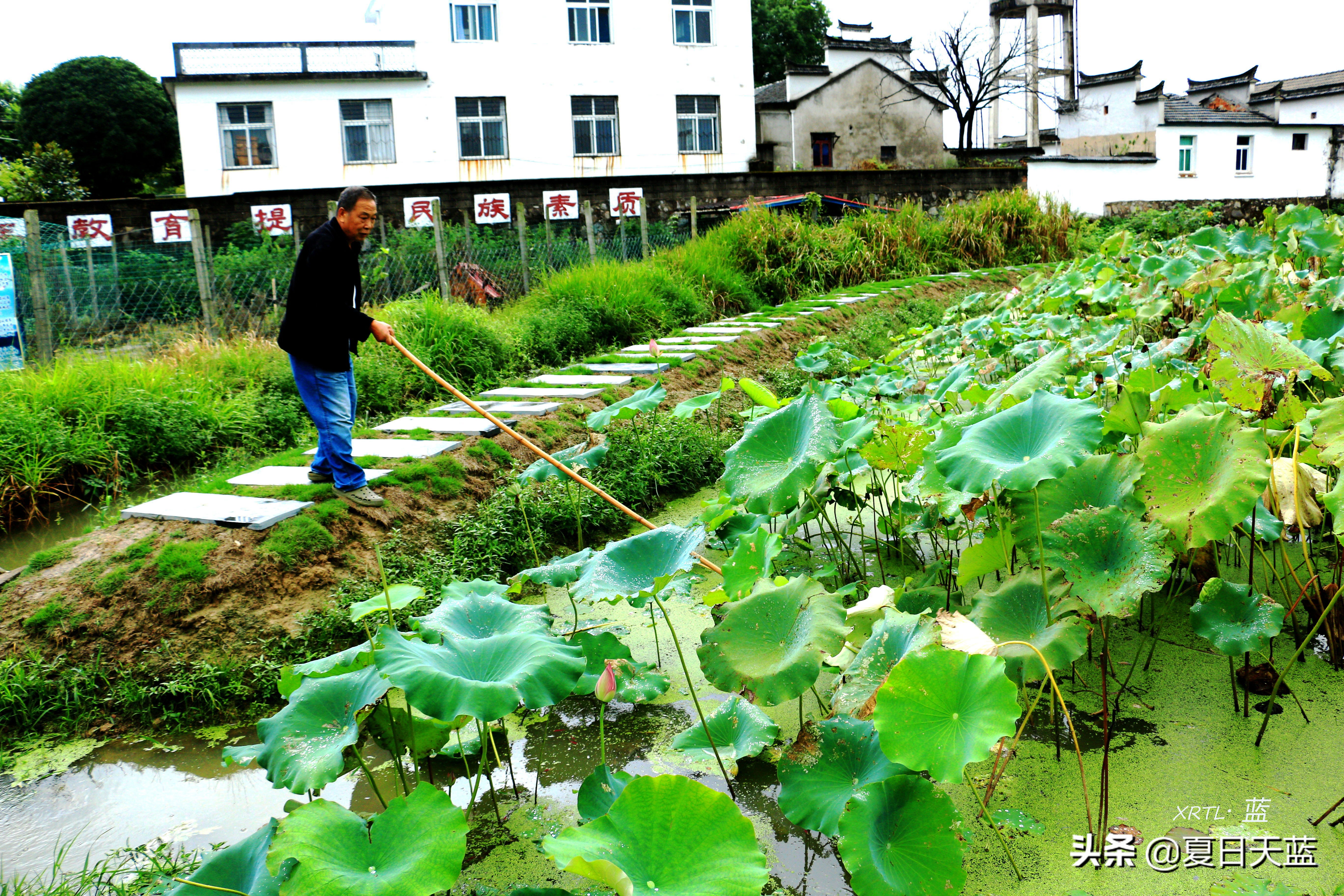 李白在桃花潭写的千古名句,桃花潭因李白而出名的诗句