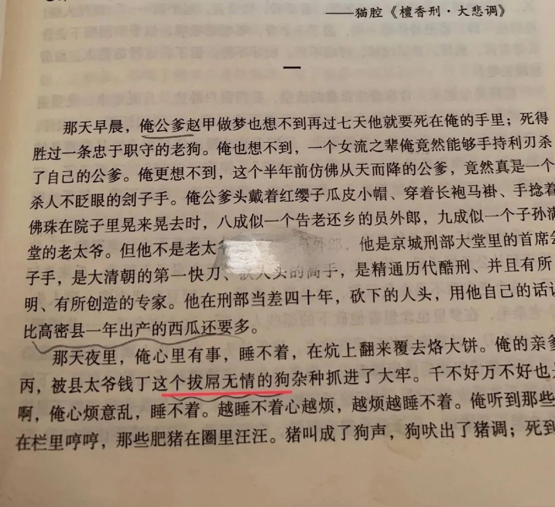 冷知识坑爹问答,冷知识扎心语录