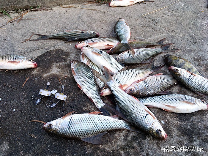 自制钓鱼钩钓鱼技巧,自制朝天钩钓鱼小窍门