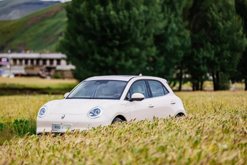 预售订单破万,预售7小时订单破五万到底值不值